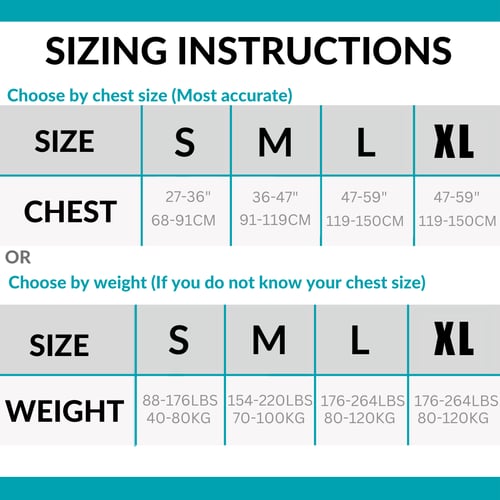 PerfectPosture Pro Support