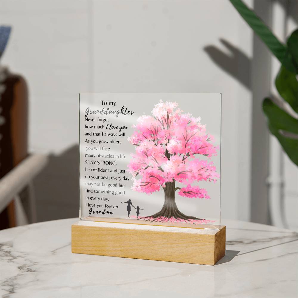 To My Granddaughter| Never Forget How Much I Love You| Night Lamp