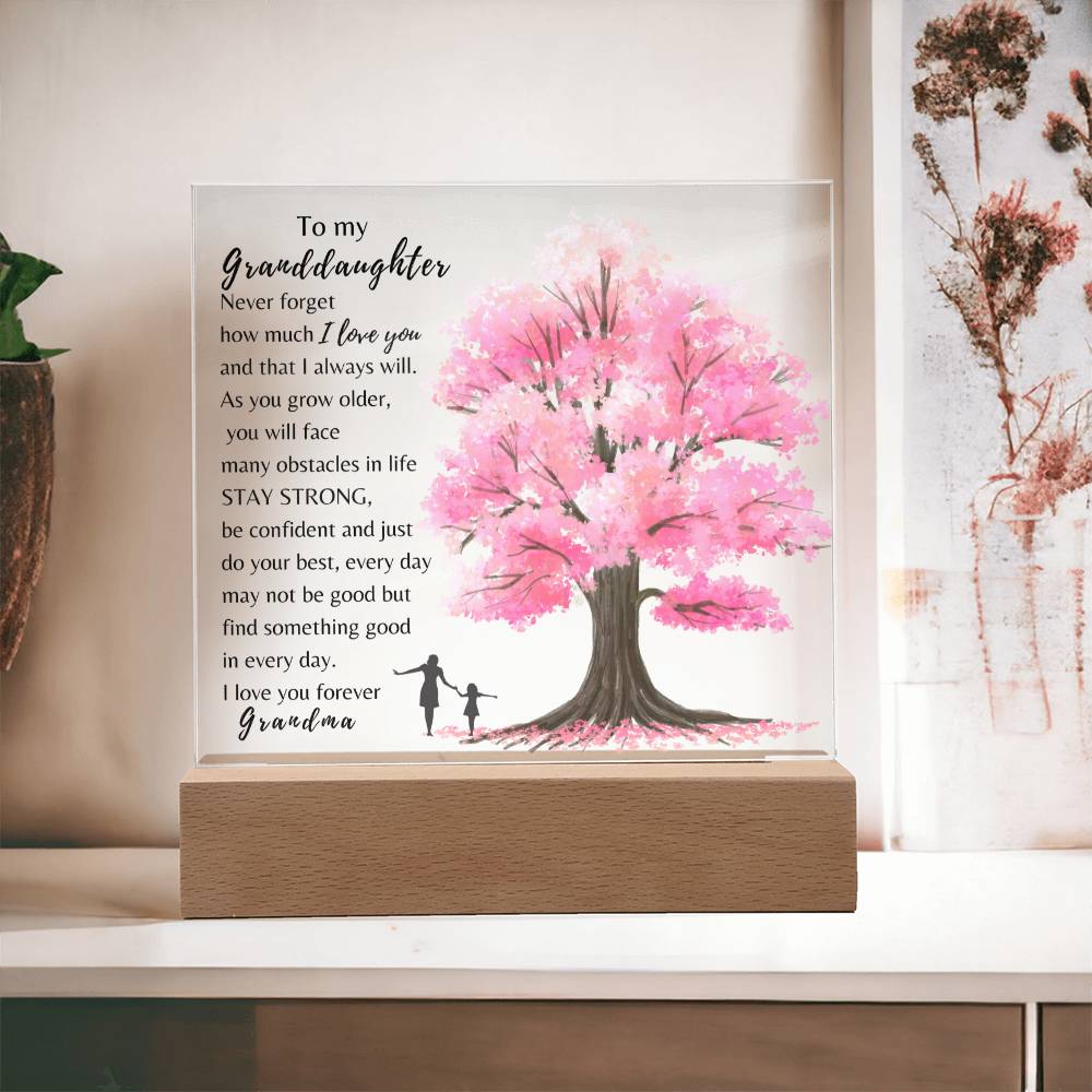 To My Granddaughter| Never Forget How Much I Love You| Night Lamp