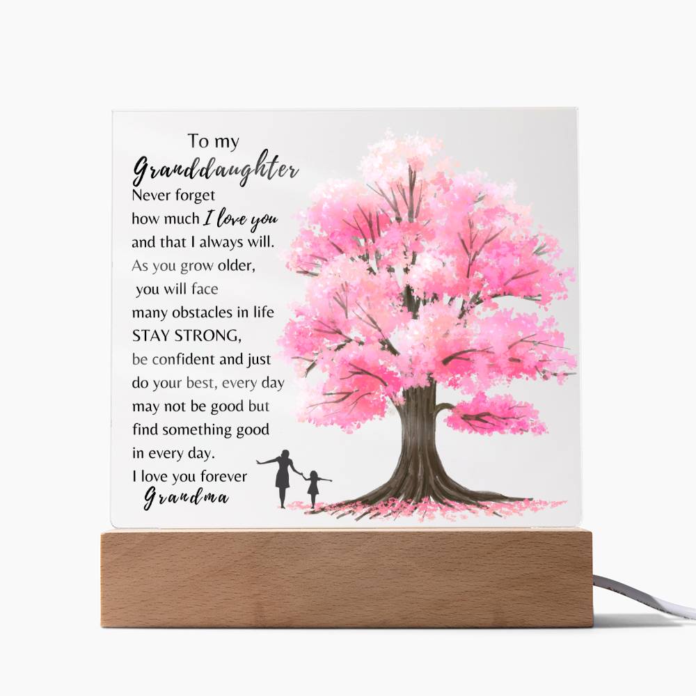 To My Granddaughter| Never Forget How Much I Love You| Night Lamp