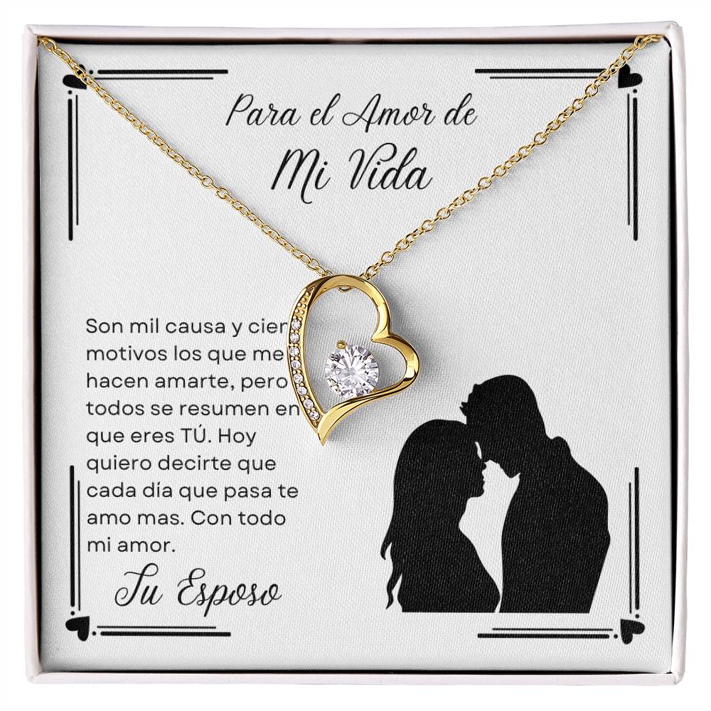 Para el Amor de mi Vida