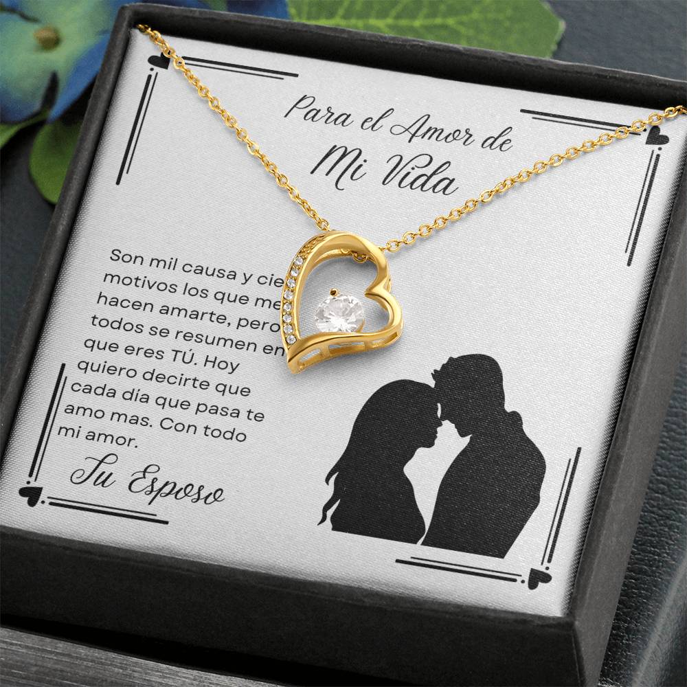 Para el Amor de mi Vida