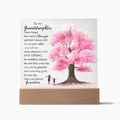 To My Granddaughter| Never Forget How Much I Love You| Night Lamp