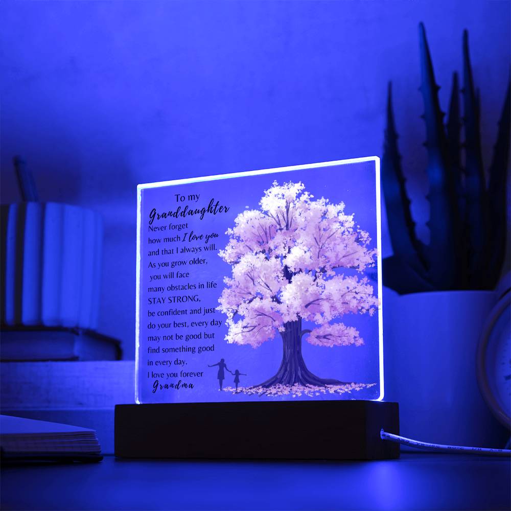 To My Granddaughter| Never Forget How Much I Love You| Night Lamp