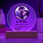 Music player plaque